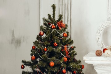 Vánoční dovolená Vánoční dovolená